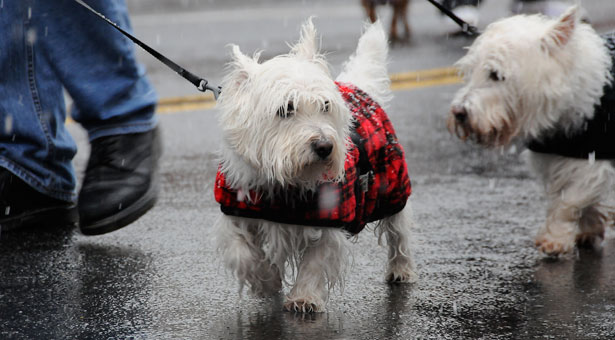 �������������� ����