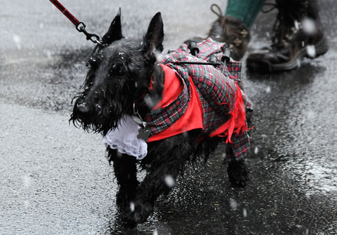 �������������� ����