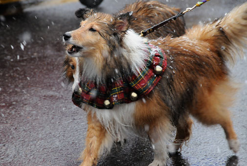 �������������� ����