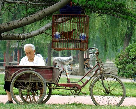 �������� �� ������ � ������?