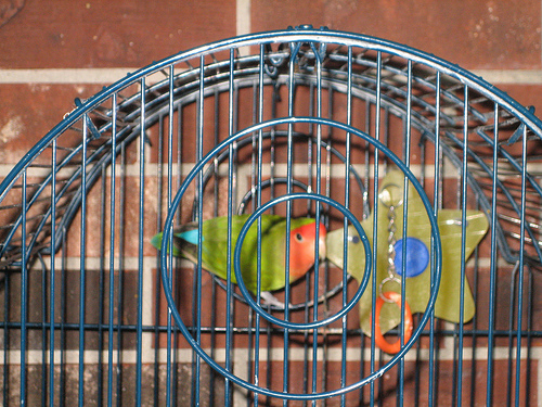 �������� �� ������ � ������?