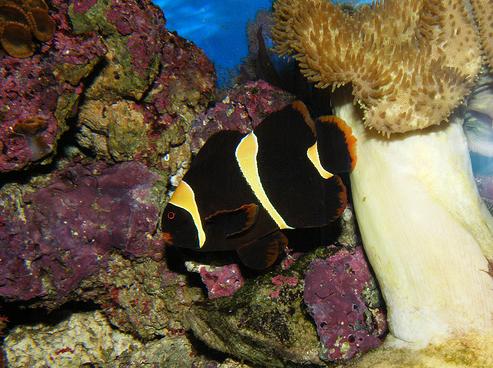 ����-�����: �� ������ � ����, �� � � ���������