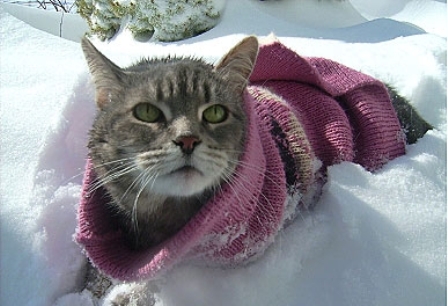 ������� ����� ������!