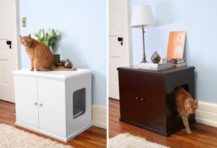 ������ ������� ��� �����. �����������