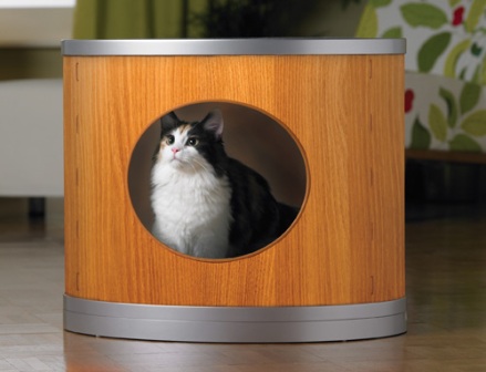 ������ ������� ��� �����. �����������