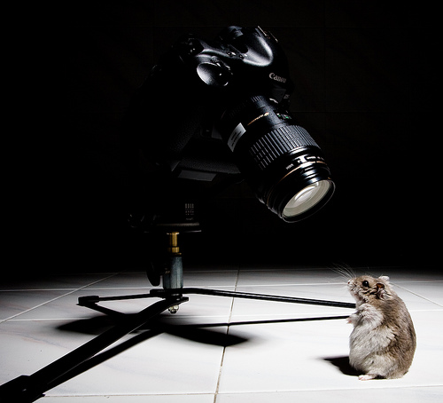 ������� � ������ ���������!