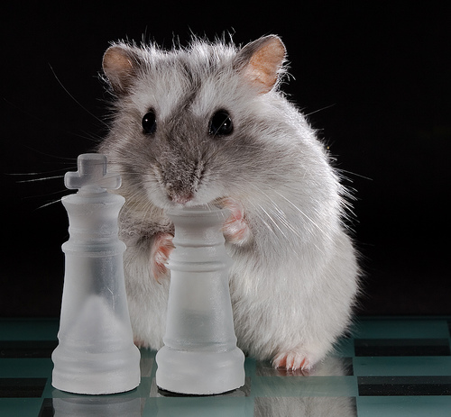 ������� � ������ ���������!