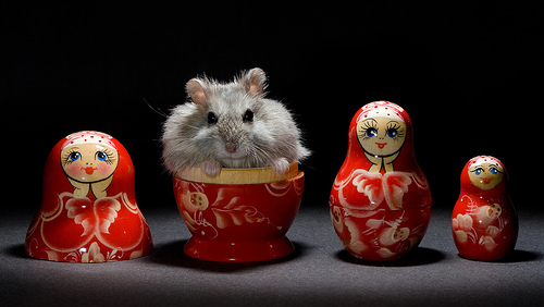 ������� � ������ ���������!