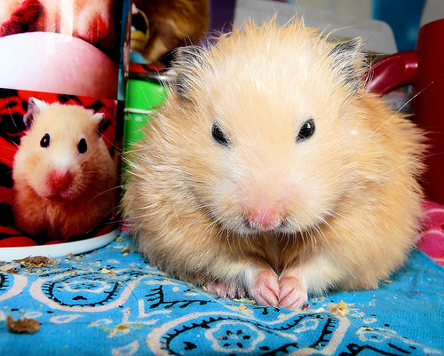 ������� � ������ ���������!