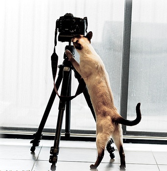 �������� ����������� ������� �����!