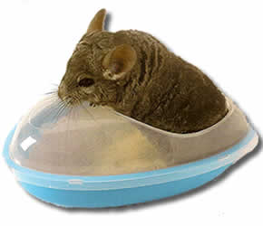 SPA-��������� ��� �������