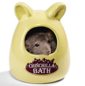 SPA-��������� ��� �������