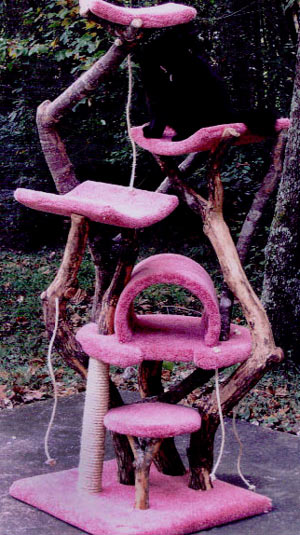 ������� ��������� ��� �����