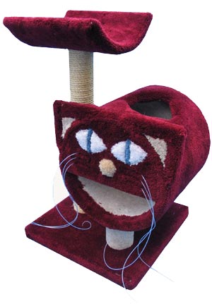 ������� ��������� ��� �����