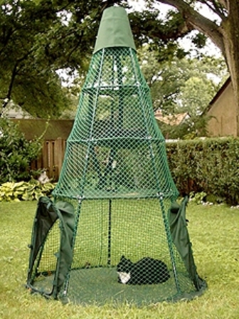 ������ ������ ��� �����