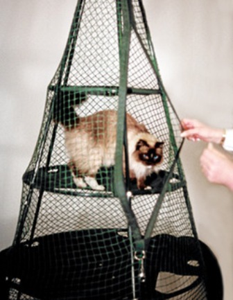 ������ ������ ��� �����