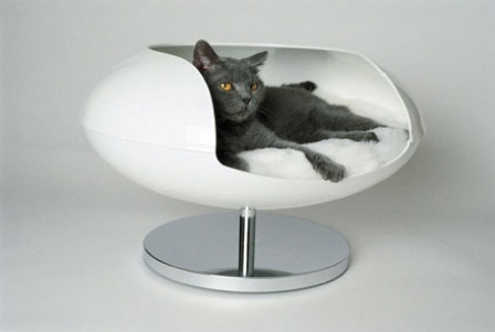 ������� ��� ����� � �� ������