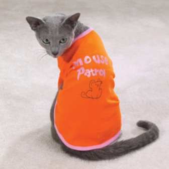 ������� ��� ����� � �� ������