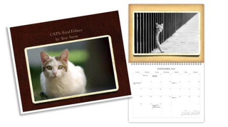 ������� ��� ��������� �����