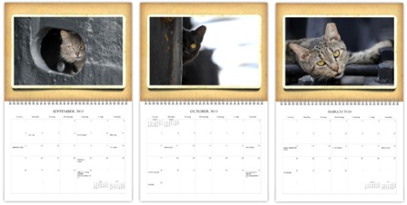 ������� ��� ��������� �����