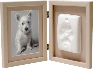 ���� � ����� ������