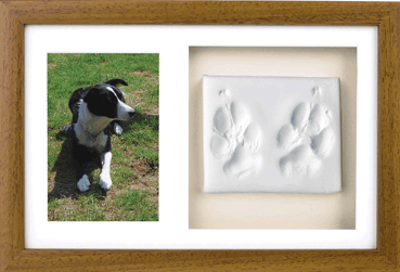 ���� � ����� ������