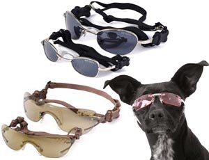 ��������� ���� ��� �����