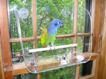 � �� �������� ���� � �� �������� �����