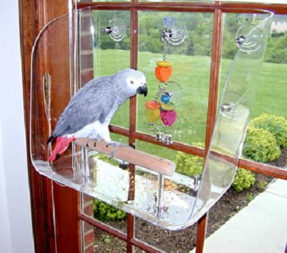 � �� �������� ���� � �� �������� �����