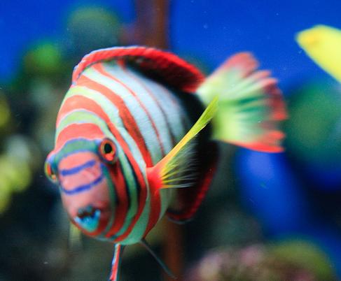 ����� � �������