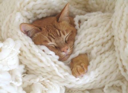 ������ ������ ��� �����