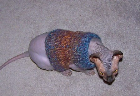 ������ ������ ��� �����