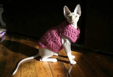 ������ ������ ��� �����