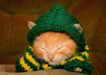 ������ ������ ��� �����