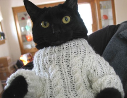 ������ ������ ��� �����