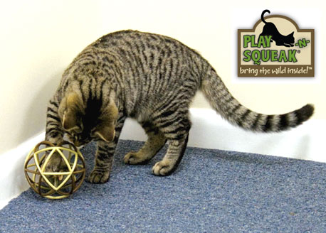 ������� ��������� �����