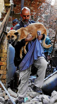 �� ����� ��� �� �����