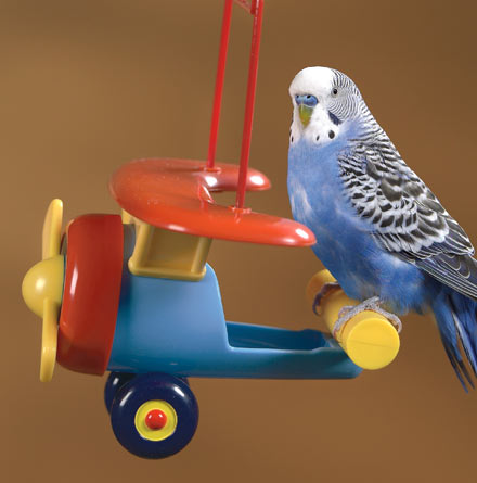 �������� �� ���� ��������