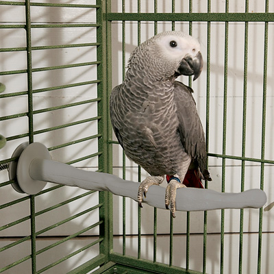 �������� �� ���� ��������