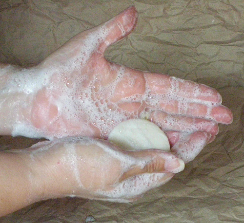 ������ ��������