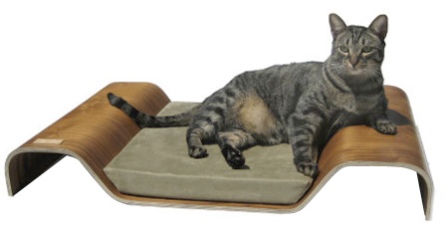 ������� ��� �����: ����������