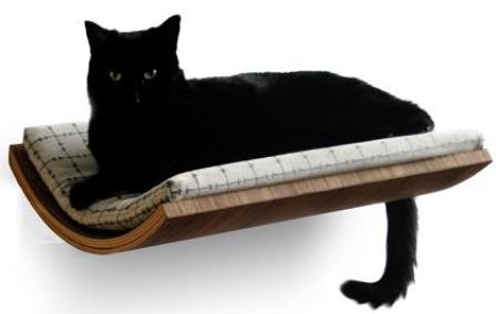 ������� ��� �����: ����������