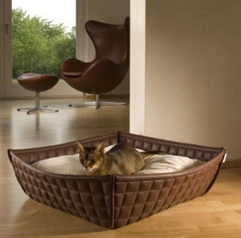 ��������� ������� ��� �����