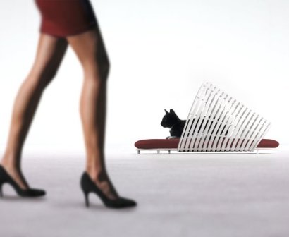 ��������� ������� ��� �����