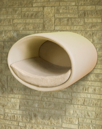 ��������� ������� ��� �����