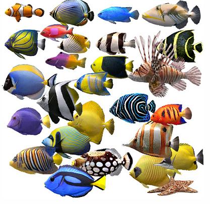 ���� ������� ����������