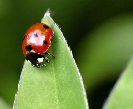 ����� ������� � ��������� �������