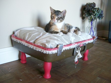 ��������� ������� ��� �����