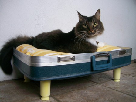 ��������� ������� ��� �����