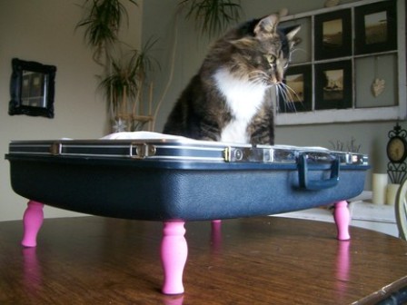 ��������� ������� ��� �����